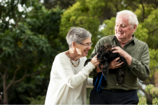 Cumberland pets